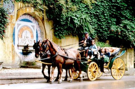 fatima aims|THE TOP 10 Portugal Horse Carriage Rides (w/Prices).